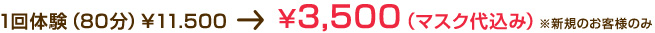 1θ80ʬˡ11.5003,500ʥޥߡˢΤͤΤ